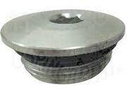 BUJAO CABECOTE FIAT PALIO MT E-TORQ C/ ANEL LA2811