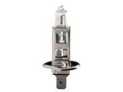 LAMP H1 HALOGENA 12V 55W SL120001