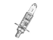 LAMP H1 HALOGENA 12V 55W  P14.5S  BLFH1/12